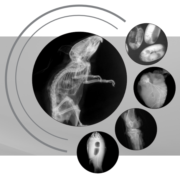生命科學(xué)研究、小動(dòng)物、種子檢測(cè)